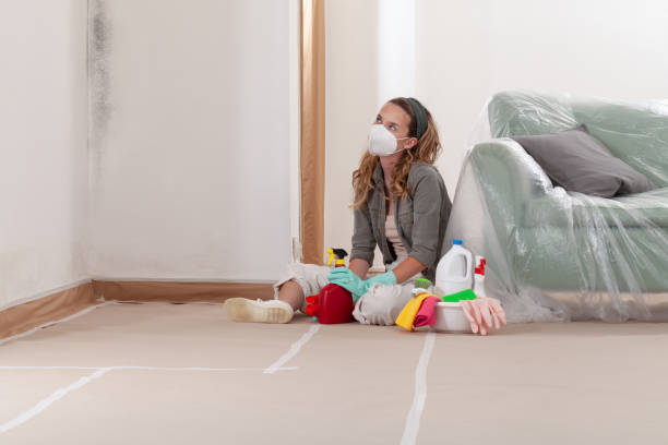 Reliable Mold Remediation contractor in Rosedale, WA by WQB Mold Removal